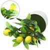 Artificial Artificial LemonTree False Plant Artificial Lemon Tree Beautiful