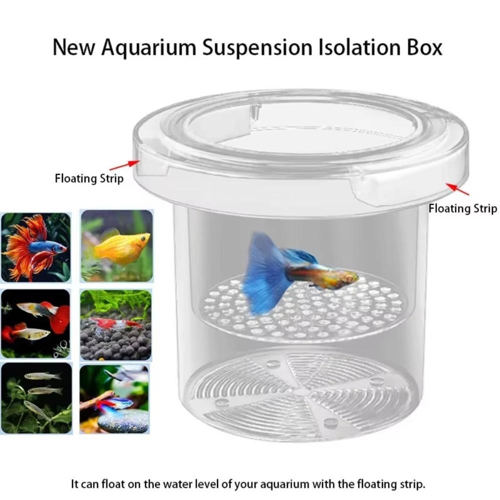 Acrylic Aquarium Isolation Box  for Aquarium Hatchery Accessory