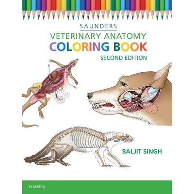 Veterinary Anatomy Coloring Paperback UKN3121