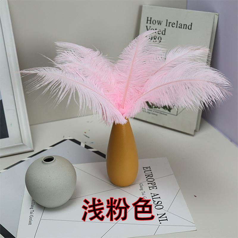 10 STÜCKE 20-25Cm Straußenfeder Bühnenauftritt Feder Handgefertigt DIY Schmuck Dekomaterial Straußenhaar