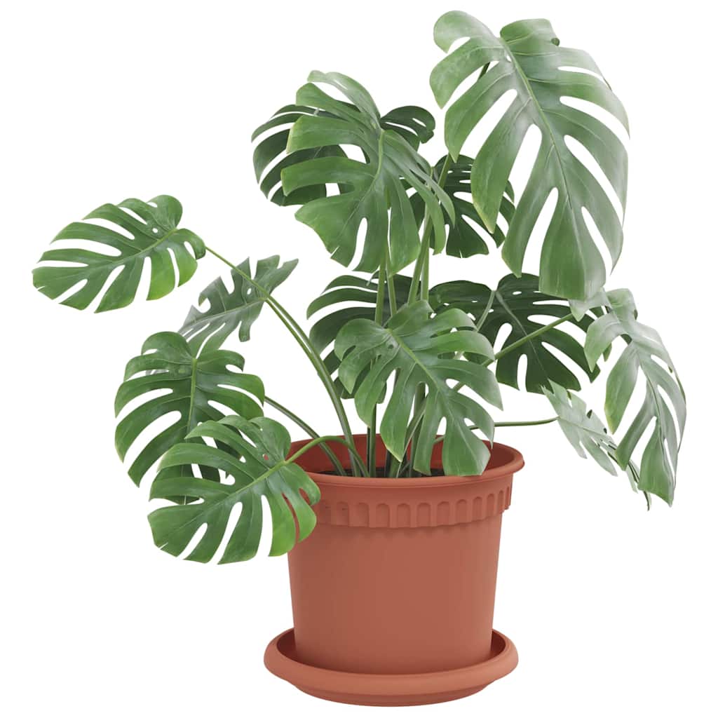 Flower Pots 6 pcs Terracotta Red Ø 15 x 12 cm Plastic
