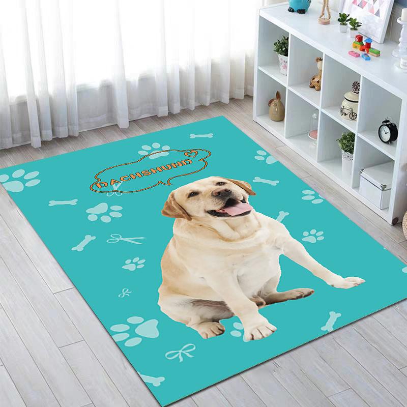 Cheap Petmatpaddle Dog Water Absorption Mat Cat Supplies Four Seasons