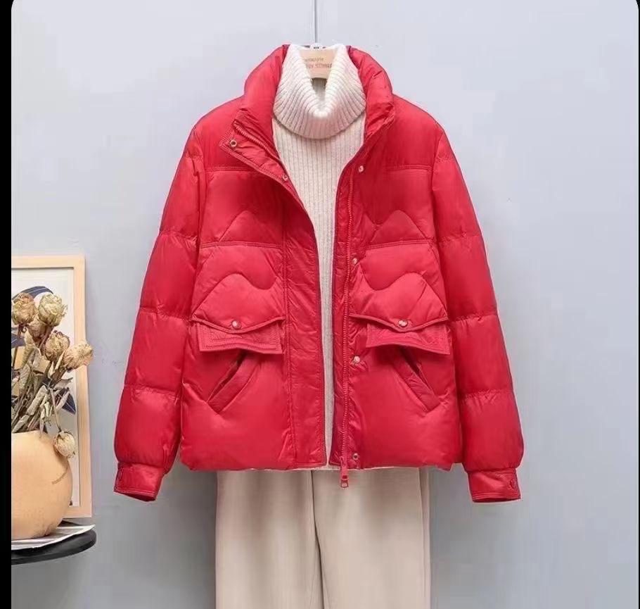 Light and thin down jacket women's short stand-up collar fashionable and casual loose new autumn and winter coat