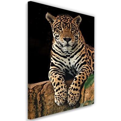 Canvas Print, Leopard Animal Nature