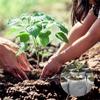 100Pcs Degradable Seedling Lift Bags Seed Pouch Potted Plant Grow Bag Breathable