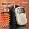 Mini Bluetooth Rechargeable FM/AM Radio with Card Slot