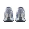 Nike Fly.By Mid Wolf Grey Unisex Sneakers Pure-Platinum Metallic-Silver Cool-Grey CD0189-013