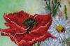 Kit for Embroidery with MICRO Beads On Canvas Abris Art
