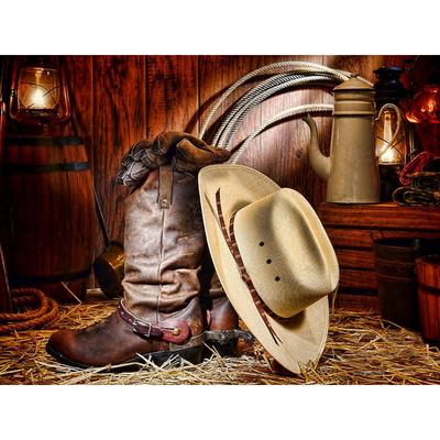 Diamond Painting Landscape Rhinestone Cross Stitch Embroidery Scenery Cowboy Boots Hat Wall Decor