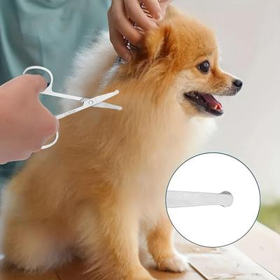 Professionelles Haustierpflege-Scherenset - aus Edelstahlmaterial, ausgestattet mit Sicherheits-Rundkopfdesign, geeignet für Hunde und Katzen