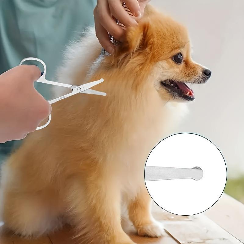 Professional Pet Grooming Scissors Set - Made of Stainless Steel Material, Equipped with Safety Round Head Design, Suitable for Dogs and Cats