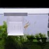 Acrylic Fish Isolation Box Detachable Fish Breeding Tank Floating Hatching Box  for Aquarium