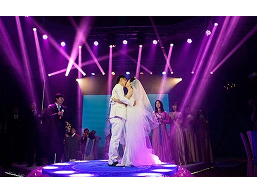 Pack of 2 - 36 LED Stage Par Lights: Wedding Performance, Sound-Activated Color-Changing Strobe Lights