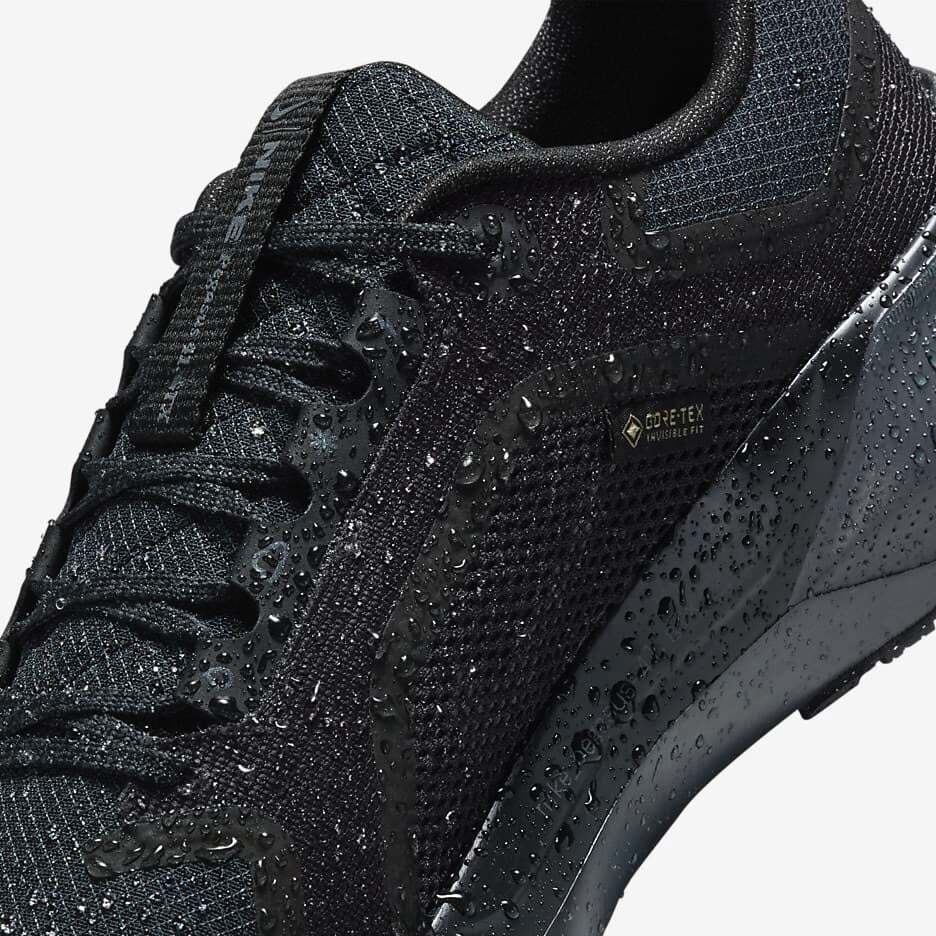 FQ1357-001 Nike Pegasus 41 GORE-TEX Black Anthracite (Women's)