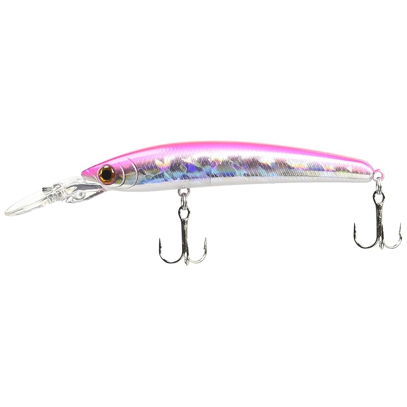 

Smith LTD) minnow DD Punish F 80mm 6.4g LPI #31