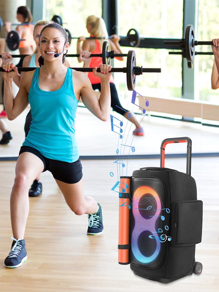 Portable Speaker Dust Case Waterproof Party Speaker Dust Cover Padded Speaker Protective Cover for JBL PARTYBOX 520 Storage Bag