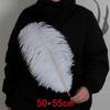 White Ostrich Feathers 15-80cm for Lighting, Wedding Aisle Decor, Photo Props, and Vase Ornaments