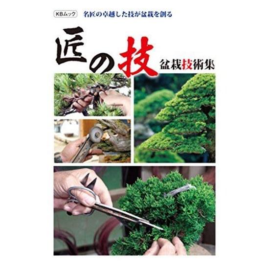 Masterful Techniques Exceptional Skills Master Craftsmen Creating Bonsai (KB Mook)
