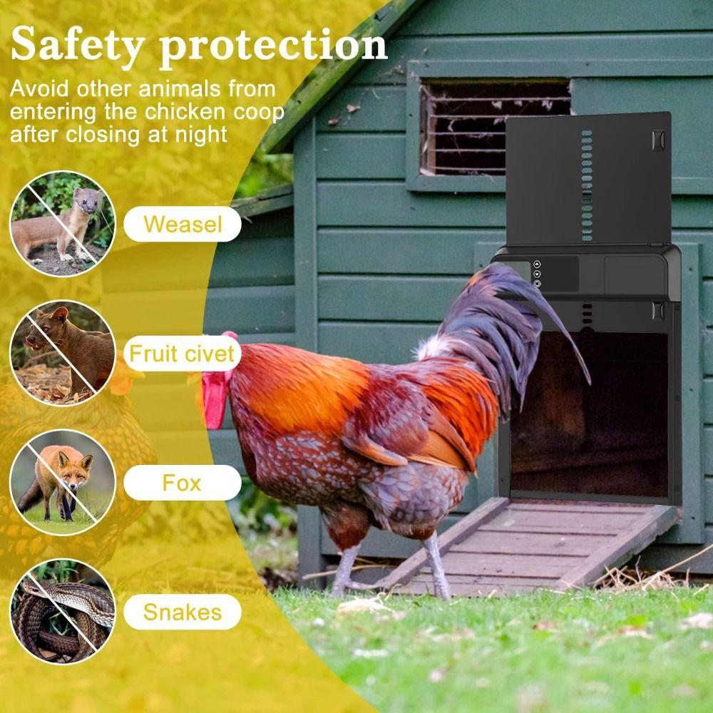 Timer Control Electric Chicken Gate Automatic Pet Flap Accessories Chicken Coop Door Pets Cages