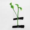 Bean Sprout Bangs Duckbill Hair Clip Funny Hair Barrette Trendy Ponytail Decor