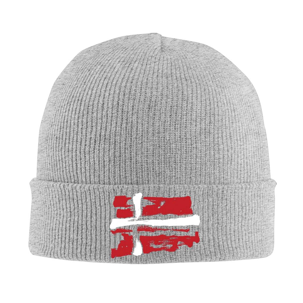 Denmark Flag Pencil Strokes Bonnet Hats  Beanie Hats Autumn Custom Knit Hat Trendy Unisex Women Kpop Elastic Cap