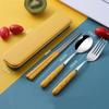 3pcs/set Stainless Steel Cutlery Set Spoon Fork Chopsticks Set With Box Case Travel Cutleries