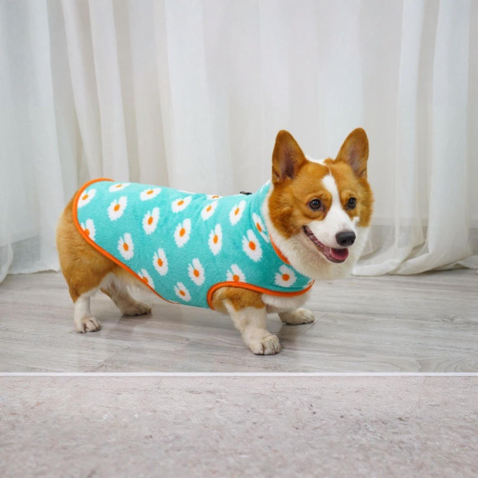 

Dog Warm Coat, Small Dog Winter Jacket Windproof Water Resistant Cold Weather Coats Cozy Snow Jacket Vest For Puppies (Blue, X-Small Chest 11.8 S