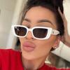 Fashion Trend 2025 European & American Small Frame High-End Sunglasses