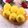 1/2/3Pcs Artificial Bubble Lemon Fruit Fake Theater Prop Staging Home Decor Faux Lemons