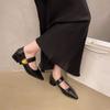 French Block Heel Single Shoes Women Spring and Autumn New Metal Buckle Pointed Toe Shallow Mouth One Belt Mary Jane Shoes