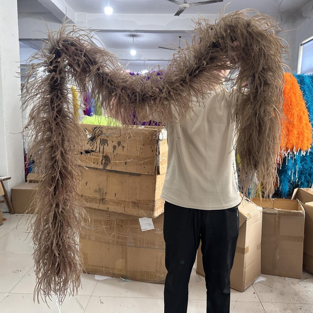 DIY Colorful Ostrich Feather Boa 6Ply Fluffy Shawl 0.5/1/2/3/4 Meter for Wedding Dress Carnival Performance Costume Party Decoration