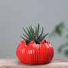 European-Style Simple Home Gardening Creative Succulent Flower Pot, Japanese-Style Grocery Cartoon Ceramic Flower Pot Small Potted Plant