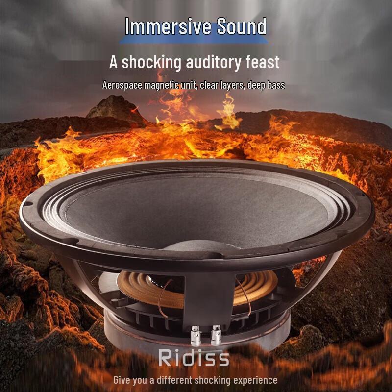 Ridiss SRX Professional Dual 15-inch Passive Stage Speaker CN plug (adapter included) (CN version)