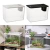 Clear Plastic FishTank With Secure Lid and Water Plant Holder For Goldfish Home Desktop Decoration Aquarium Tanks