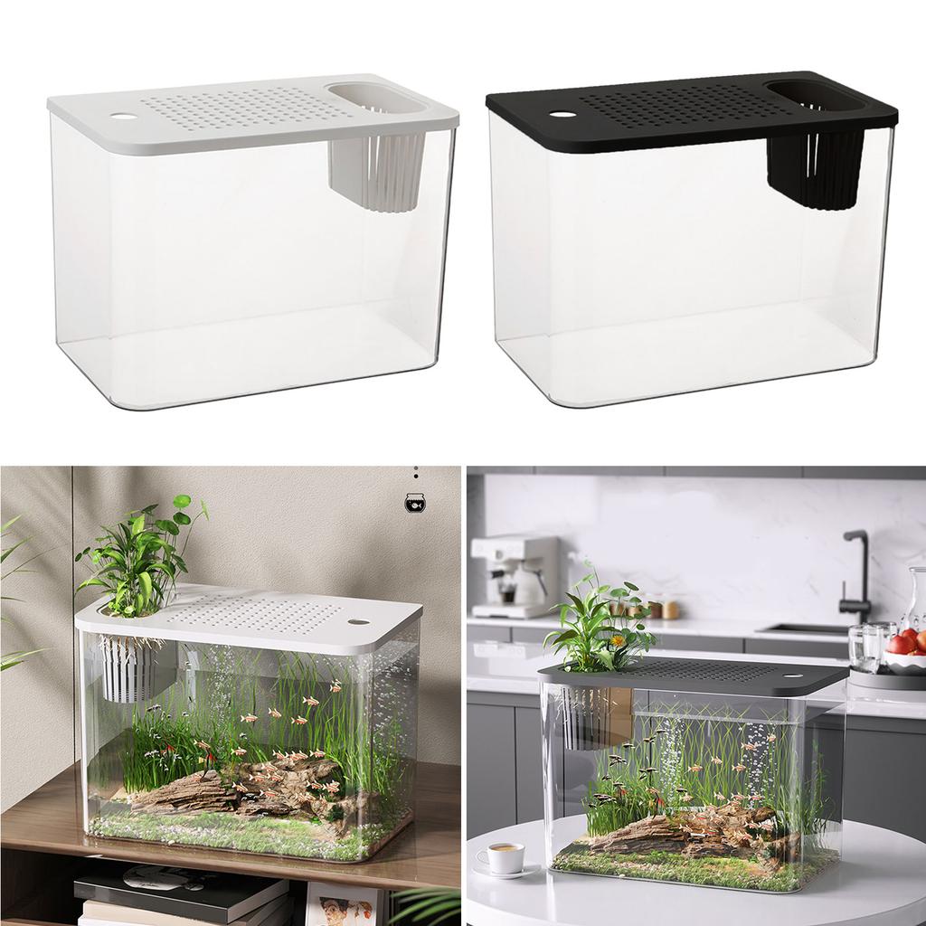Clear Plastic FishTank With Secure Lid and Water Plant Holder For Goldfish Home Desktop Decoration Aquarium Tanks