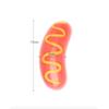 Hot Dog Pet Toy Simulation Grilled Sausage Model Vocal Dog Bite Glue Molar Stick Bite-Resistance Hot Dog Sausage Dogs Supplies