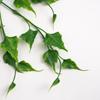 Simulation Green Plants Attractive Eco-friendly Eye-catching Artificial Vine Hanging Scene Layout Fake Ivy Hanging Artificial Vine Hanging