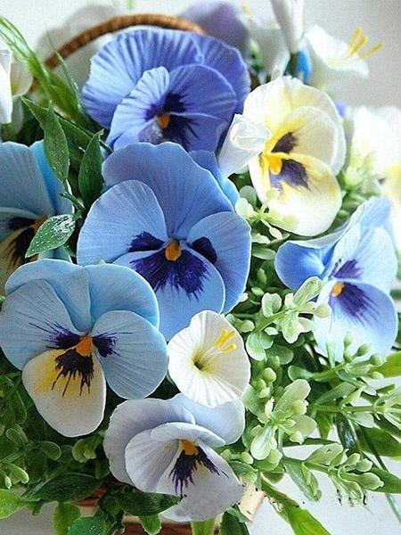 

Алмазная мозаика маргаритка новое поступление картина красочный пион вышивка крестом фаленопсид вышивка цветок 5D подарок ручной работы Full Round 20X30CM