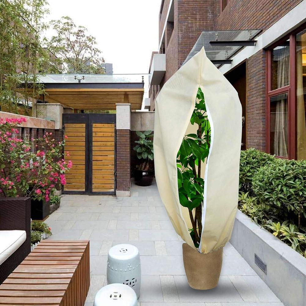 Protection sécurisée pour vos plantes grâce à la couverture végétale à cordon intégré