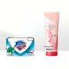 Safeguard Peppermint Soap & Hand Cream Set