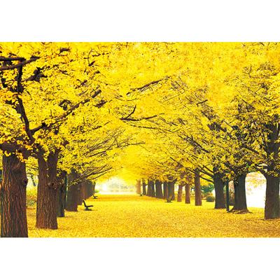 1000 Piece Jigsaw Puzzle - Golden Ginkgo Tree Road 2, Popular Korean Puzzle