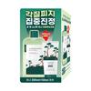 ROUND LAB for Men Pine Soothing Toner/Cream 2-pack (Toner 300ml + Cream 75ml)