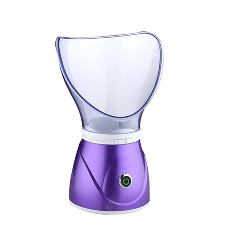 Hydrating Facial Steamer & Cleansing Spray Machine for Home