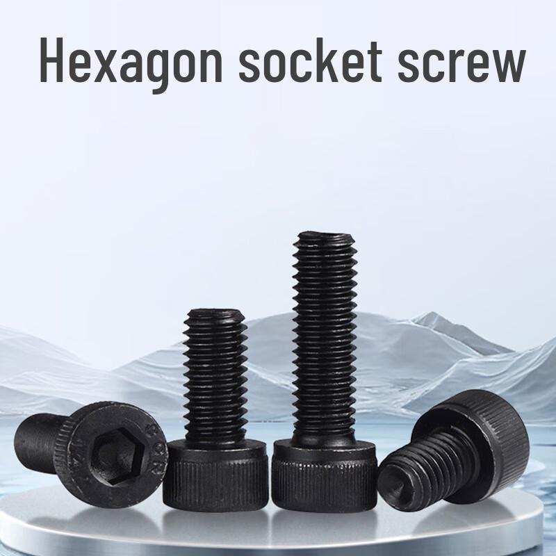 Datu 304 Stainless Steel Hex Socket Screw