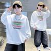Boys' Autumn Hoodie 2025 New Item, Zhongda Children's Autumn and Winter Casual Long Sleeved Children's Autumn Loose Top, Handsome