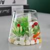 Thick Vase Rack Wooden Base Water Cultivation Vase Modern Style Glass Planter  Office Decoration