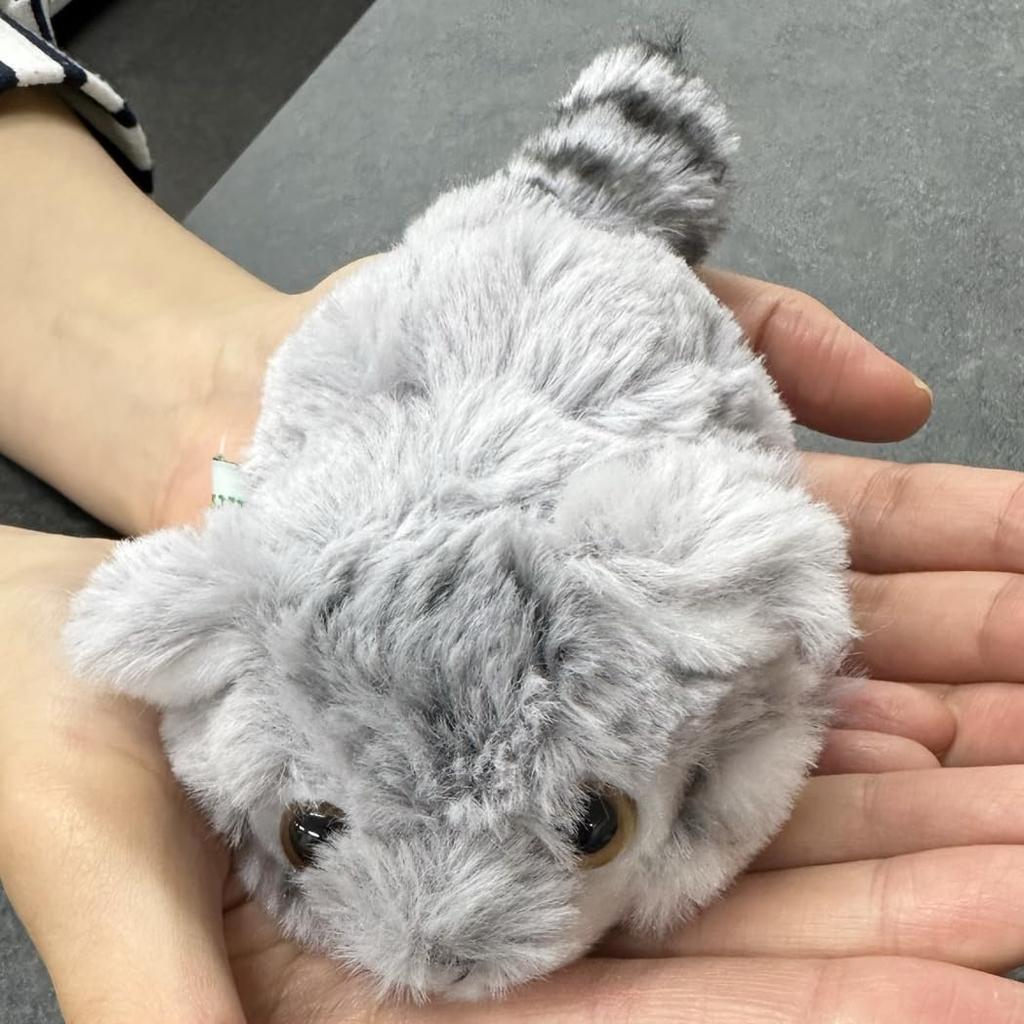 Cute Sales Palm-sized Pallas's Cat Plush Toy Z0376