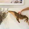 Holz-Meeresfisch-Figur Handgeschnitzt Rustikale Segelskulptur Wandbehang Dekoration für Häuser mit Strandthema