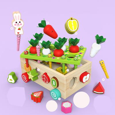 Meistverkaufte Magnetischen Angeln Holz Rettich Obst Warenkorb Form Passenden Blöcke Montessori Pädagogisches Spielzeug Für Kinder