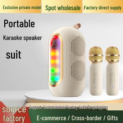 Accessori per audio e video – Microfoni